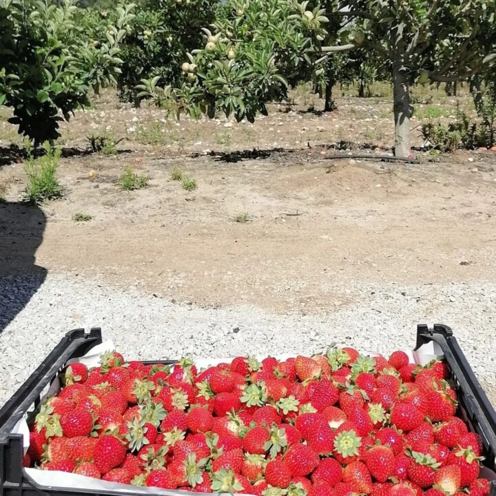 289452430_2344265622379852_7323442258942299065_n.j