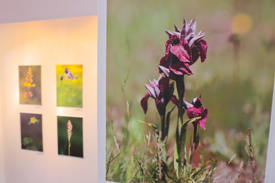 119128338_3229035750484265_4135496778469571412_o.j 119128338_3229035750484265_4135496778469571412_o.j