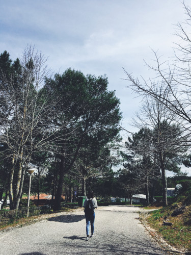 DA91CC10-F6AC-4D81-B9F9-4E62A1A90F52.JPG DA91CC10-F6AC-4D81-B9F9-4E62A1A90F52.JPG