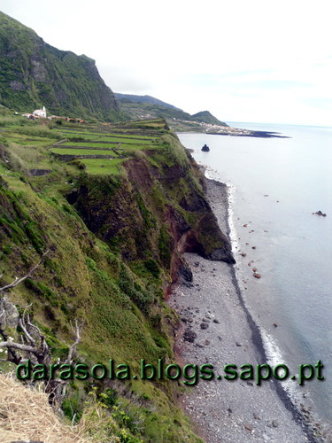 Azores_flores_faja_grande_10.JPG
