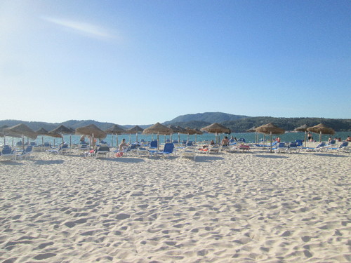 IMG_4392.JPG IMG_4392.JPG