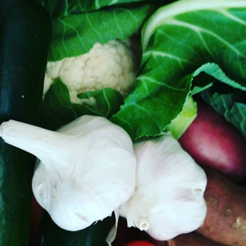 28276515_1046561635483597_6805964712593063350_n.jp 28276515_1046561635483597_6805964712593063350_n.jp