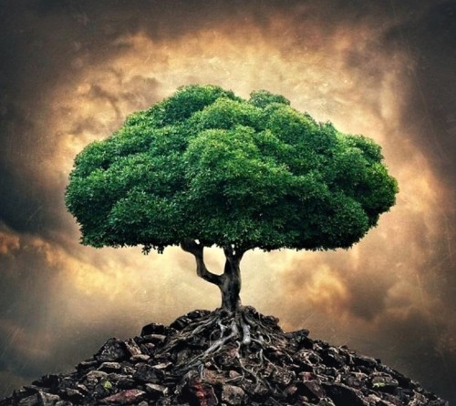 respect-norp-company.jpg respect-norp-company.jpg