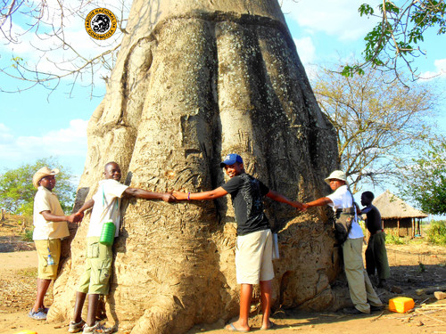 4_Girassol Guides-Vinho Baobab.jpg