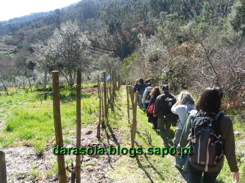 Penacova_31.JPG Penacova_31.JPG