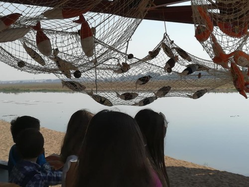 22281882_1509657899116102_5870624262869743320_n.jp