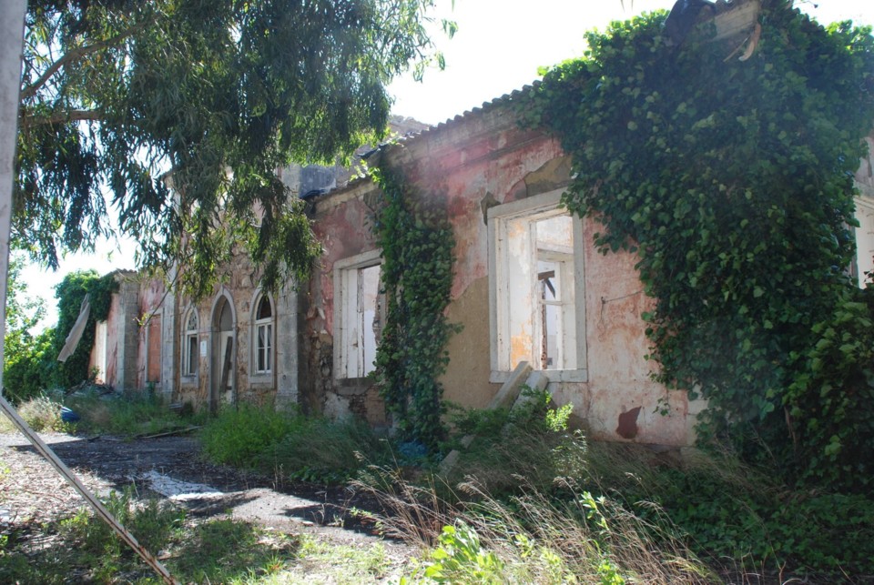 249256382_10209110387074541_7518461728342389281_n.