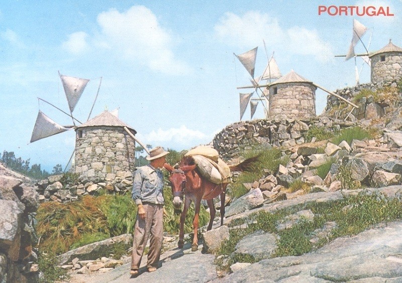 Moinhos Abelheira.jpg