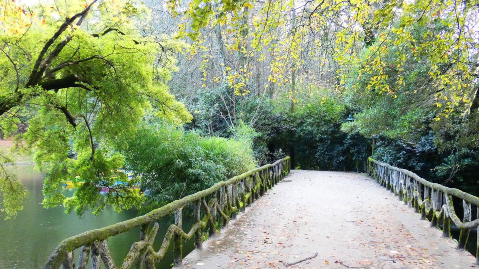 124299016_10218781125214318_6043255396343584188_o.