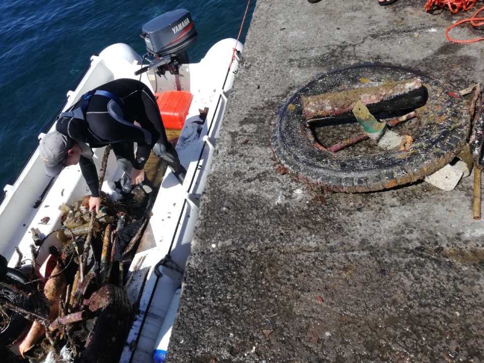 IMG_20190602_112214.jpg IMG_20190602_112214.jpg