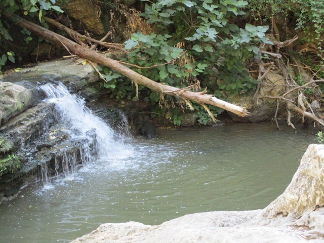 222146519_4098360920279182_4419706657997278893_n.j