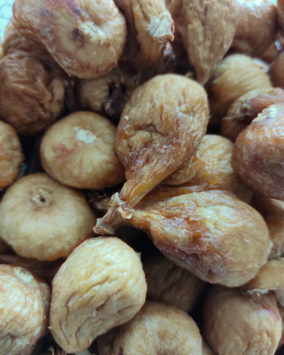 401859783_725432379614175_5423404251496185936_n.jp