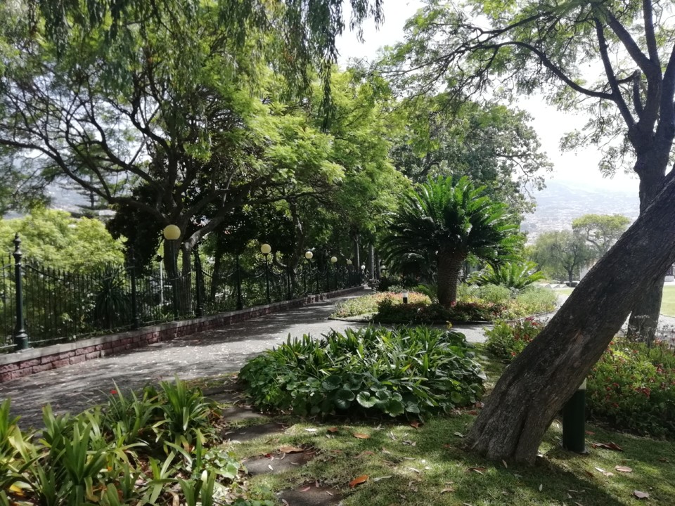 IMG_20200719_120730.jpg IMG_20200719_120730.jpg