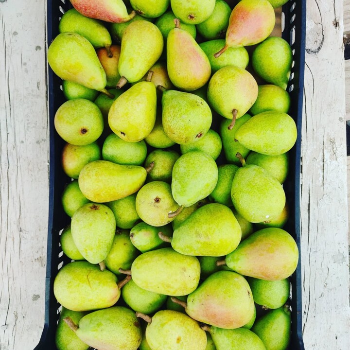 523024917_18490649320066958_6464590153585342212_n.