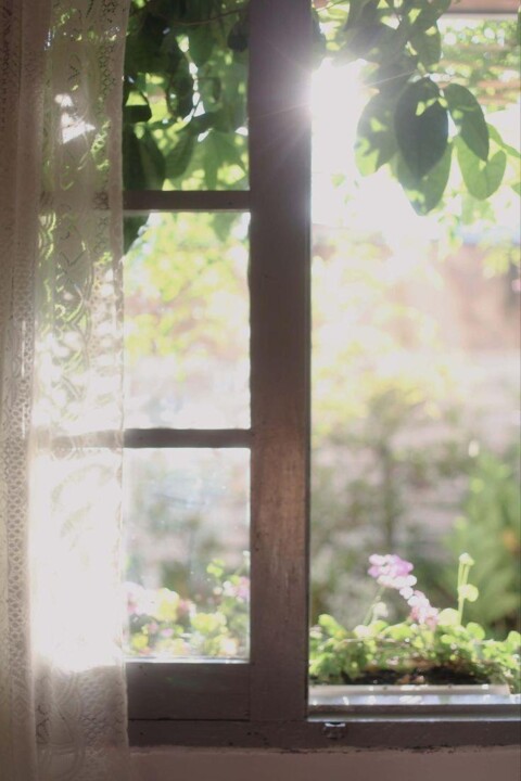 Dentro de um raio de sol a entrar pela janela, às