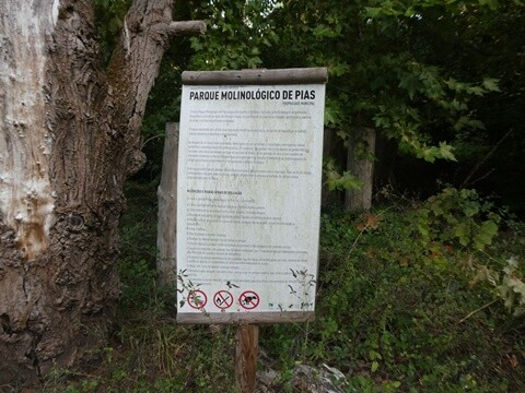 20a_Festival_dos_Rios_Lousada (10).JPG