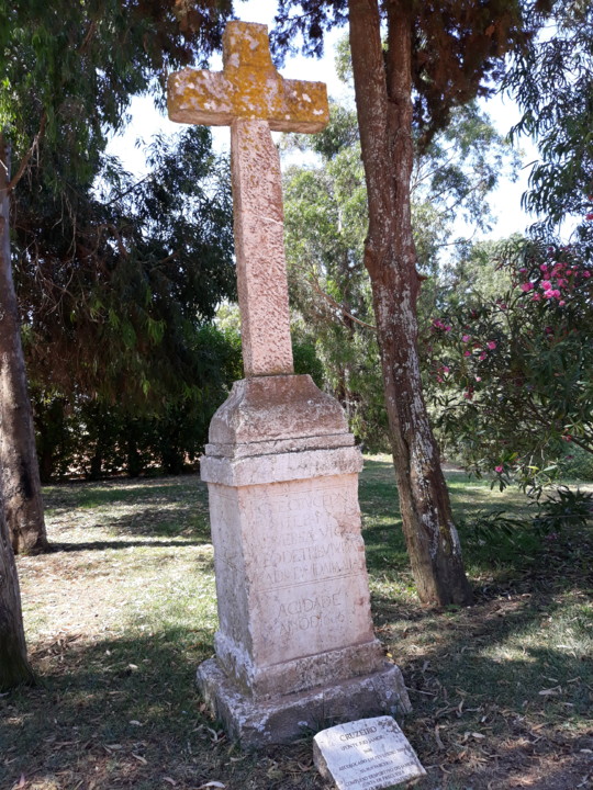 20200712_112609.jpg 20200712_112609.jpg