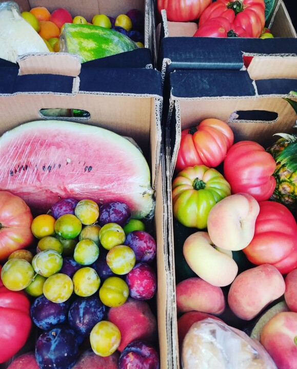 360093697_657872519703495_3476289272875045004_n.jp