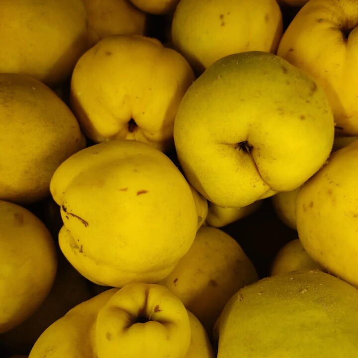 554563441_18501518062066958_4843792277035570393_n.