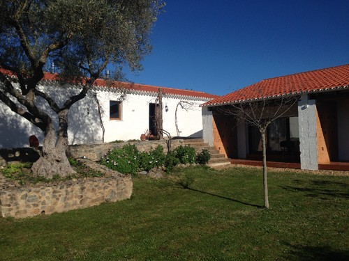 IMG_5290.JPG IMG_5290.JPG