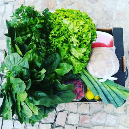 41237170_1201553553317737_7990184070296371200_n.jp 41237170_1201553553317737_7990184070296371200_n.jp