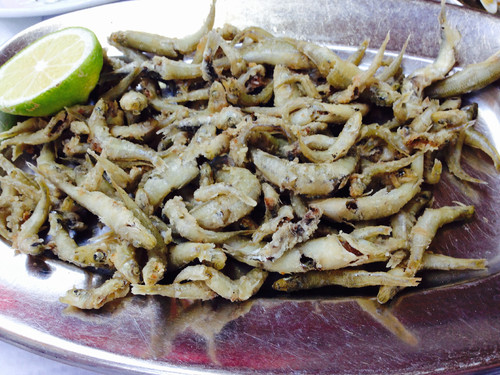 FullSizeRender-20.jpg FullSizeRender-20.jpg