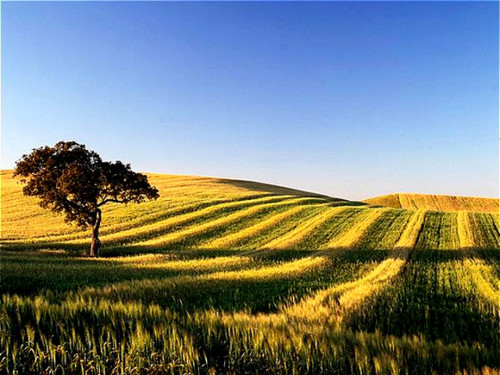 Silêncio do Alentejo I.jpg