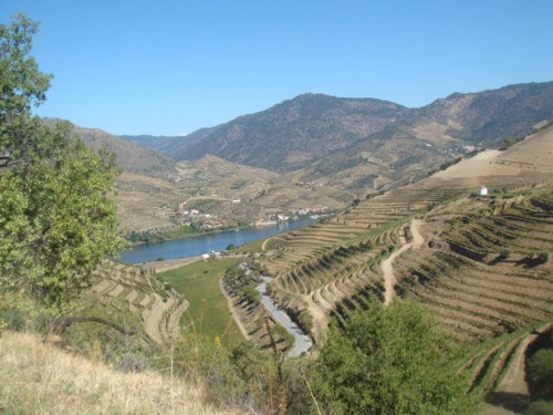 7B06F777-536F-46B2-B504-FAA200D22AB5-15572-00000DF 7B06F777-536F-46B2-B504-FAA200D22AB5-15572-00000DF