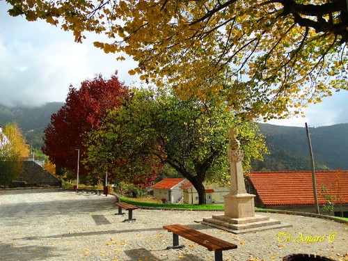 Fotos de Outono !!! 015.jpg