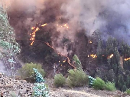 Fogo passadiços.jpg