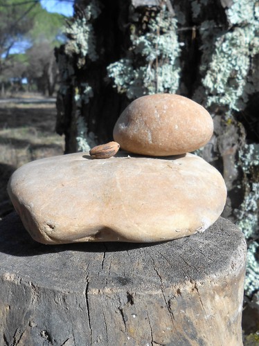 Foto 5 (2).JPG Foto 5 (2).JPG