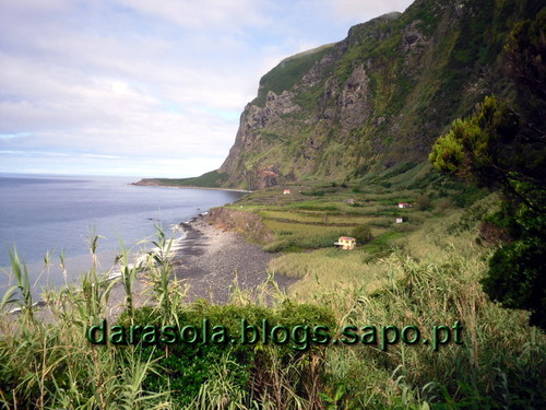 azores_flores_faja_lopo_Vaz_17.JPG azores_flores_faja_lopo_Vaz_17.JPG