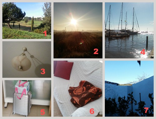 desafio semana 2.jpg