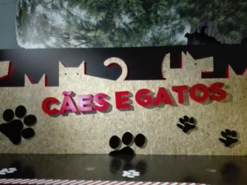 IMG_20190120_130641.jpg IMG_20190120_130641.jpg