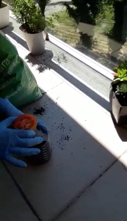 Captura de ecrã 2020-05-28, às 23.13.30.png