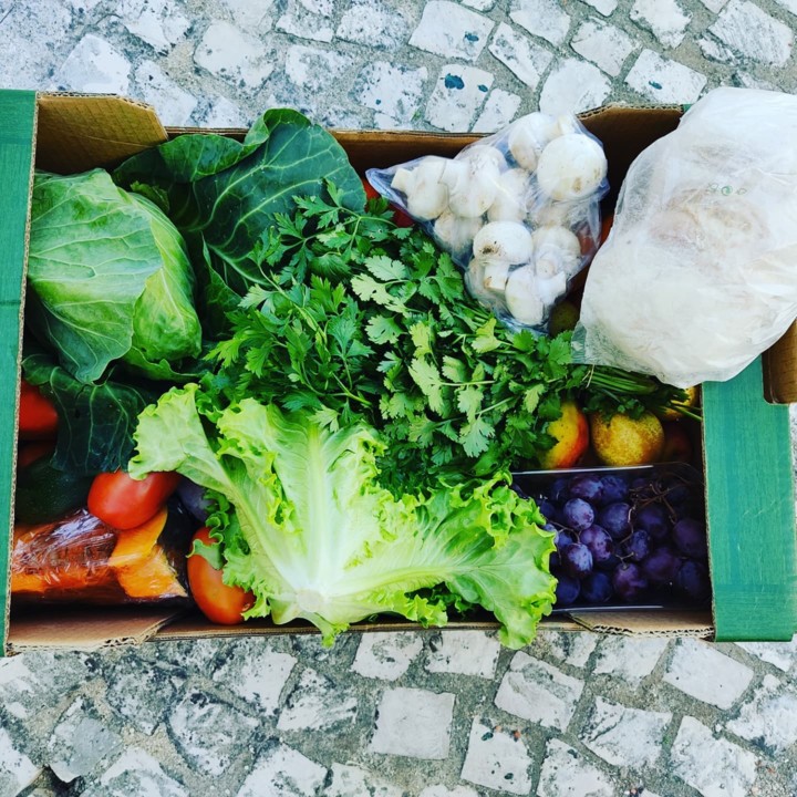 246024381_2149312028541880_932958702566359674_n.jp