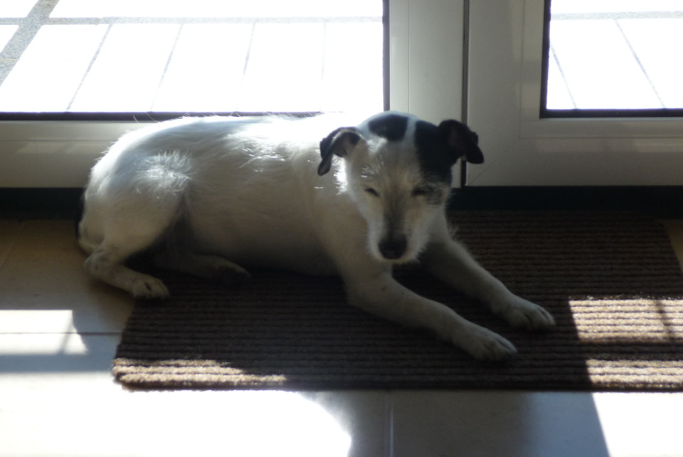 2015-05-18 Macedo - Beim Frühstück 09.JPG