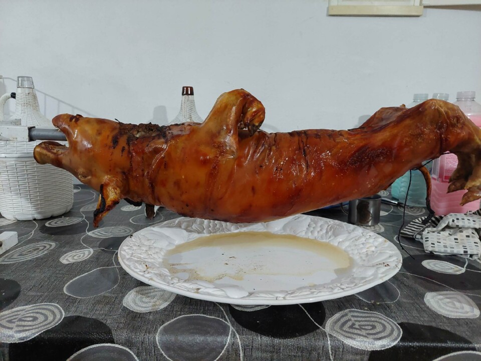 324991717_710984820538703_1932388709142548698_n.jp