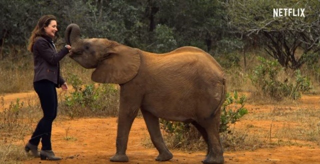 Sem Título.jpg Sem Título.jpg