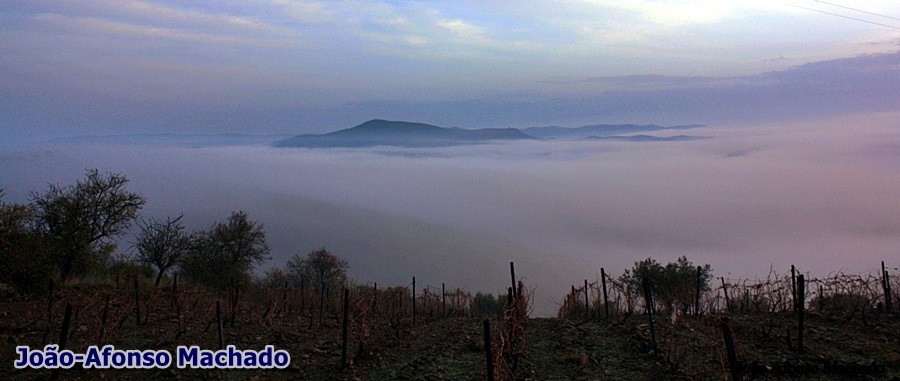 CHÃS -NEBLINA.JPG