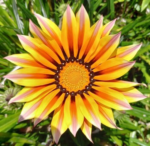 340011769_883443492759427_6787714123455282758_n.jp