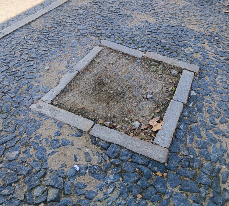 Canteiro sem árvore.jpg