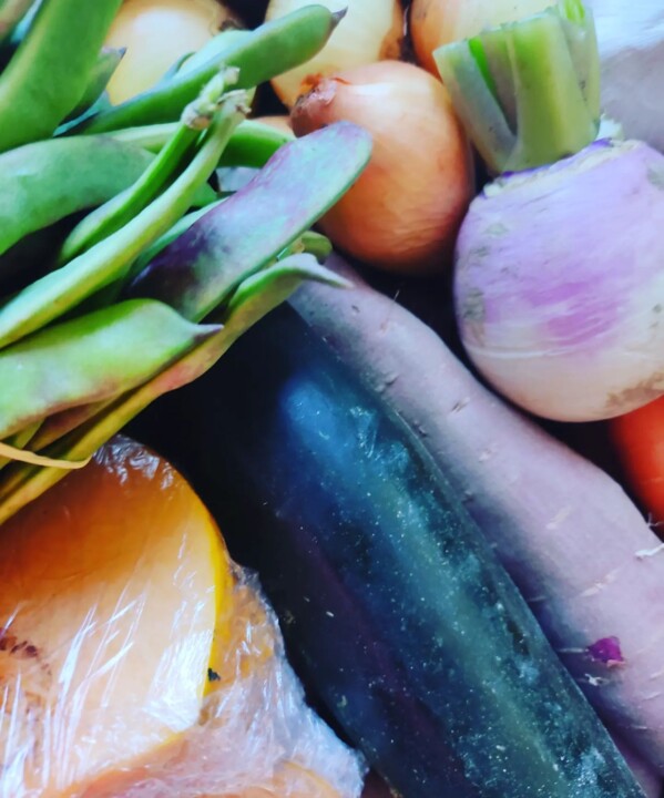 306670404_2406600696146344_2644741688158316451_n.j