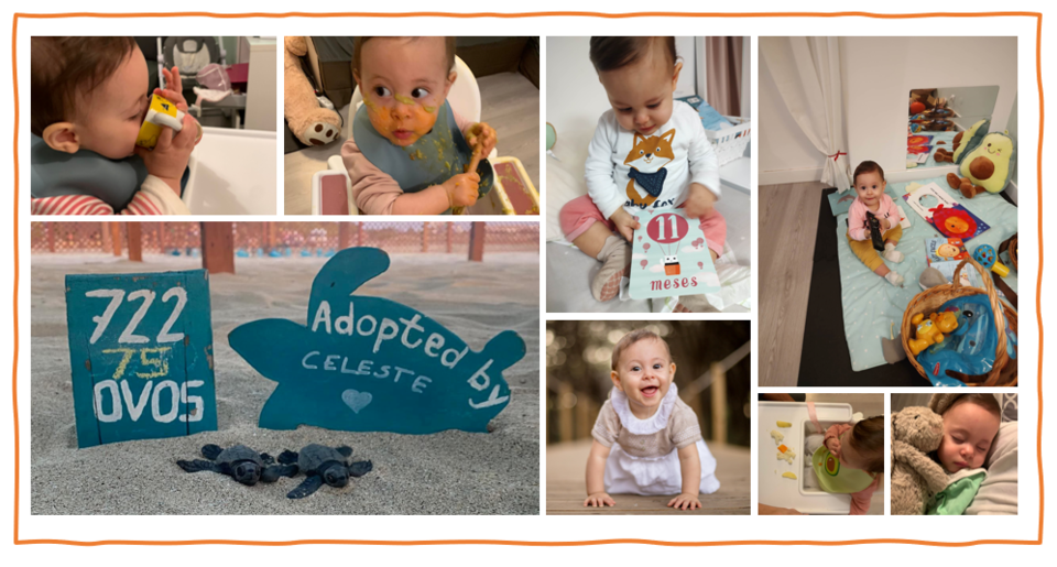 celeste 22112022.png