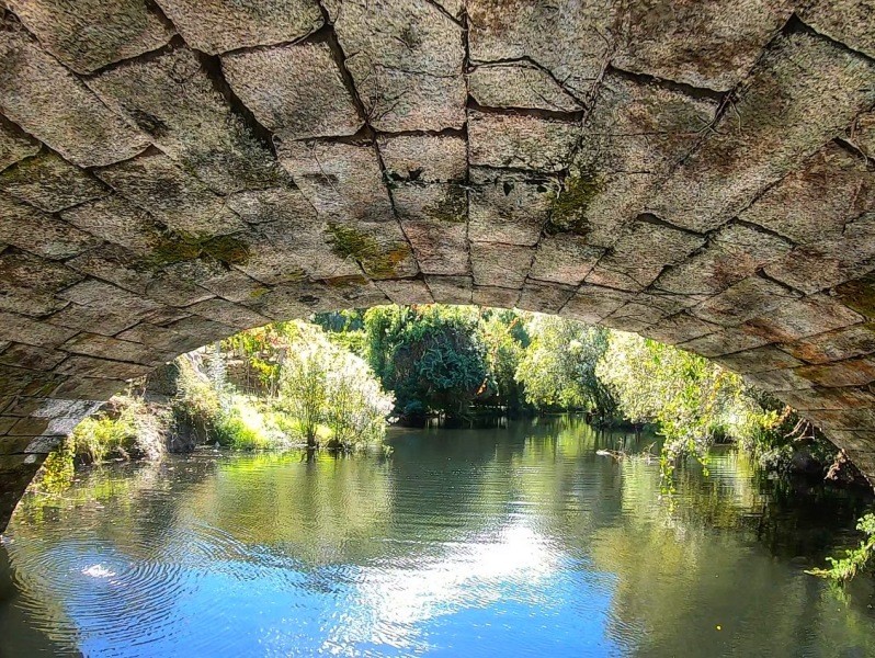 PNPGeresPyrrait (95).jpeg