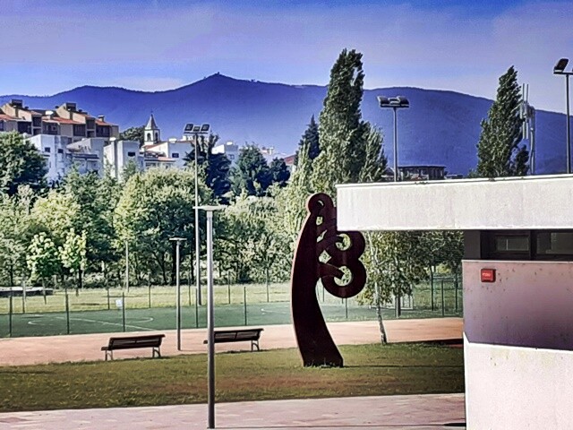 11b_PU_Vale_de_Cambra (49).jpg