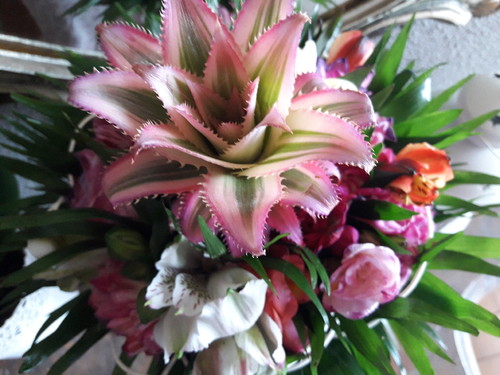 20170409_124608.jpg 20170409_124608.jpg