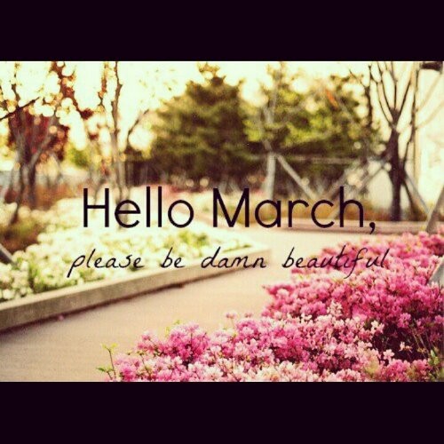 xwpid-IMG_20130301_121036.jpg.pagespeed.ic.O4hUaQ6