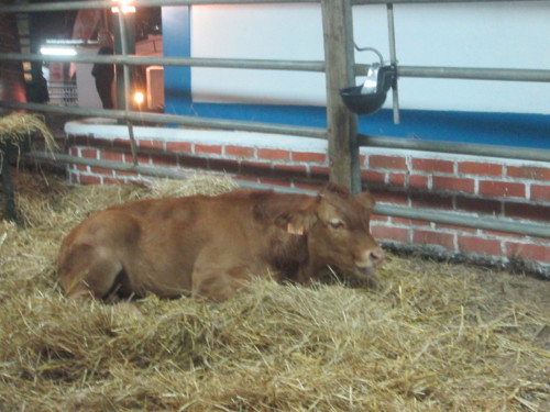 IMG_6322.JPG IMG_6322.JPG