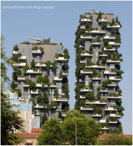 bosco verticale.jpg